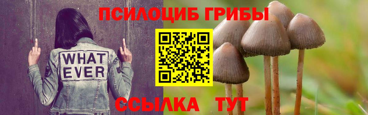 Галлюциногенные грибы Magic Shrooms  Вход с VPN  Рославль  Галлюциногенные грибы GOLDEN TEACHER 